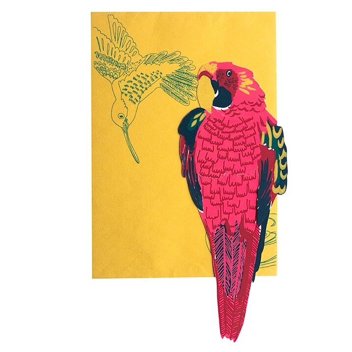 Parrot Greetings Card