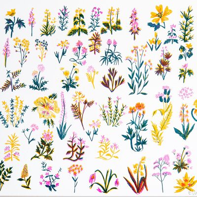 Wildflowers A3 Risograph Print