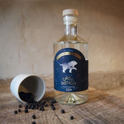 Gin Ursa Minor - 20cl