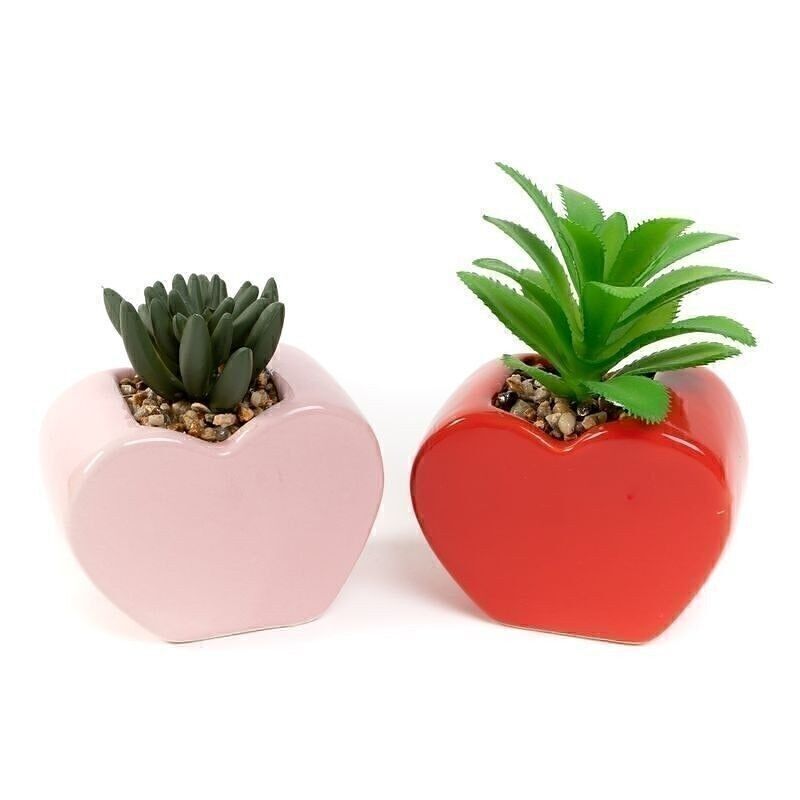 SAN VALENTÍN CACTUS EN MACETA HERZFORM 2M HH305494