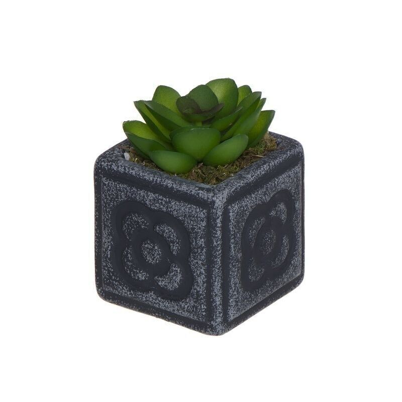 CACTUS EN MACETA PANOT M HH288442