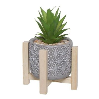 MACETA DE CACTUS BASE MADERA HH291557