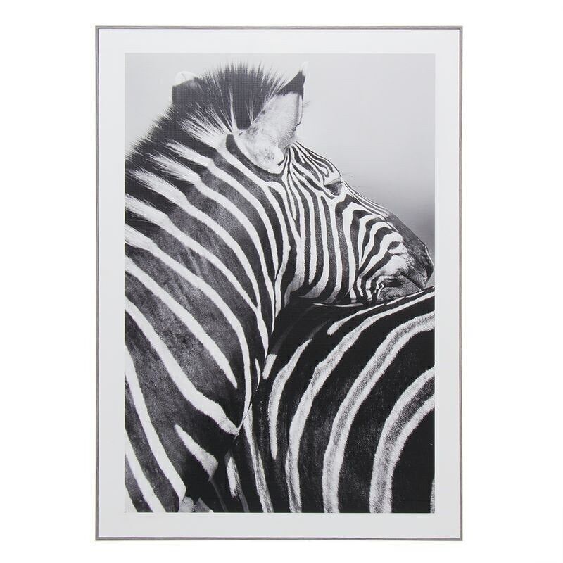 BILD 50X70CM ZEBRA HH2597393