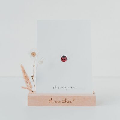 COCCINELLE DE CARTE POSTALE