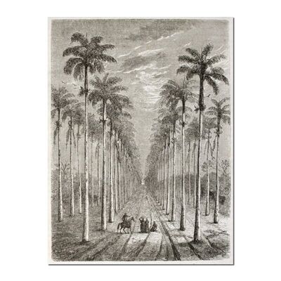 LIENZO 120X90 VINTAGE TROPICAL HH2365745