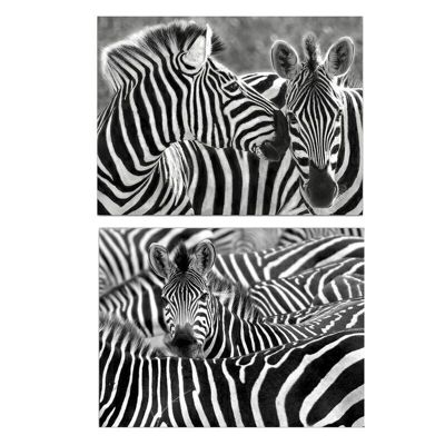 LIENZO 120x90 ZEBRE 2M HH294133