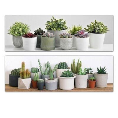 LIENZO 30x90 MACETAS CACTUS 2M HH294115