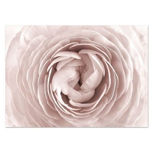 LIENZO 50x70 ROSAS HH2941142