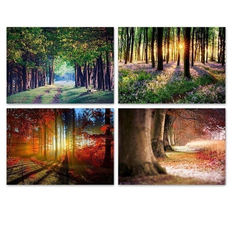 LIENZO BOSQUE 70X50 4M HH2365491