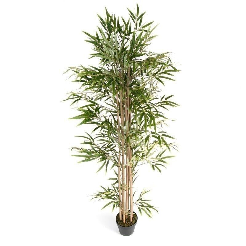 PLANTE ARTIFICIELLE BAMBU 180 CM HH289542