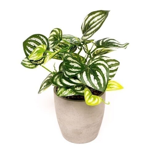 PLANTA ARTIFICIAL MACETA CEMENTO HH3051340