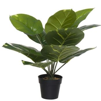 PLANTE ARTIFICIELLE TROPICALE HH289530