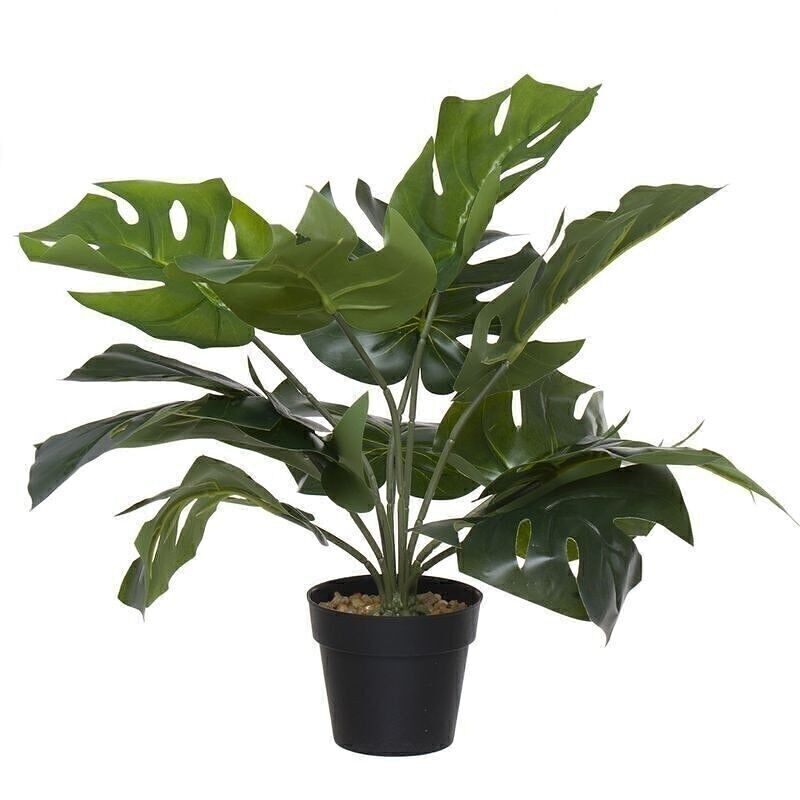 PLANTE ARTIFICIELLE TROPICALE HH289531