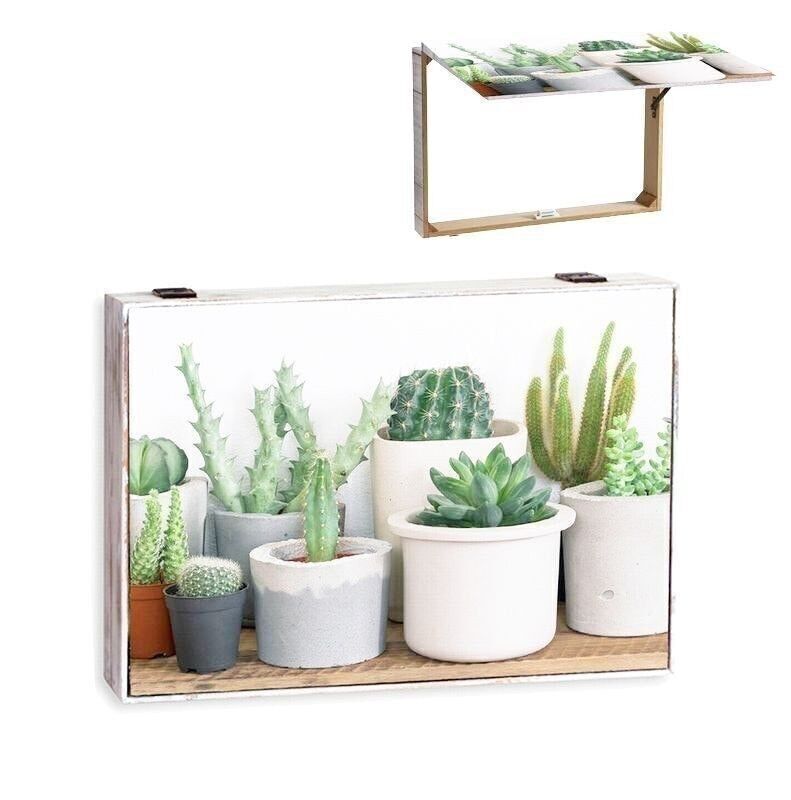 TAPA CONTADOR CACTUS HH294109