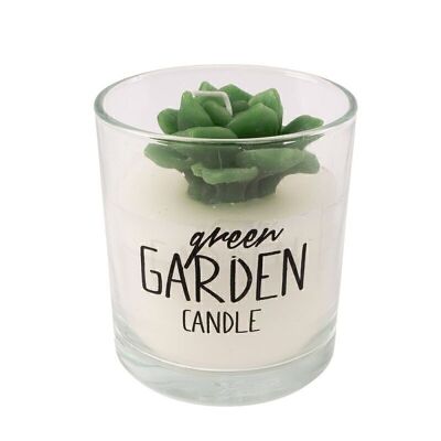 VELA EN VASO CACTUS HH30511443