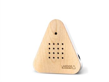 Soundbox, Lakesidebox naturel, bouleau 4