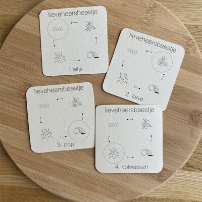 'This is how animals grow' 5-in-1 playing card set (PRE-ORDER)