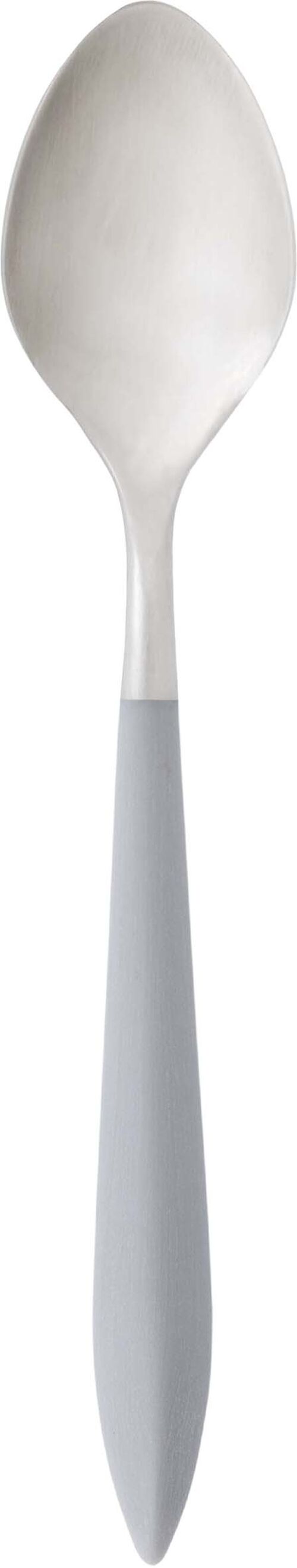 ARES CUCCHIAIO DESSERT GRIGIO