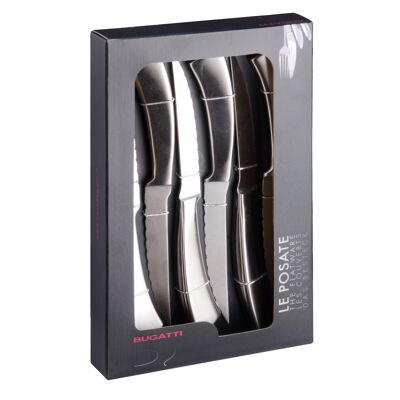 SET 6PZ. ERGO STEAK WITH WINDOW BOX