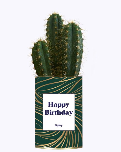 Cactus - Happy Birthday