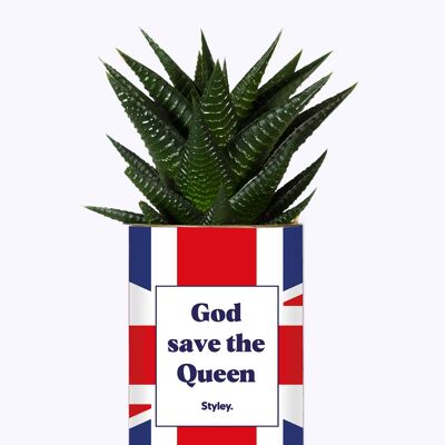 Pflanze - God Save The Queen