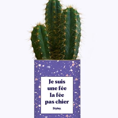 Plante - Je suis une fée, la fée pas chier