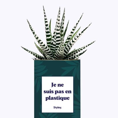 Plante - Je ne suis pas en plastique