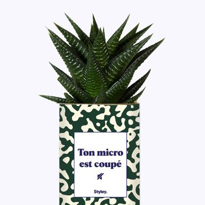 Plante - ton micro est coupé