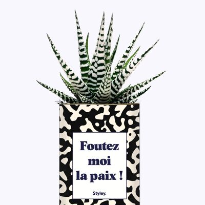 Plante - Foutez moi la Paix !