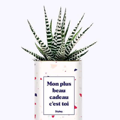 Pflanze & Kaktus - Mein größtes Geschenk bist du