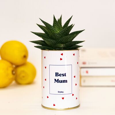 Plante - Best Mum