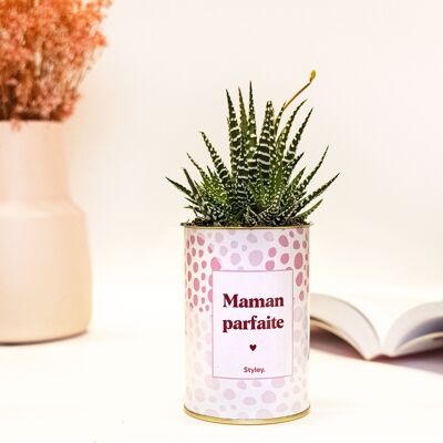 Plante - Maman parfaite