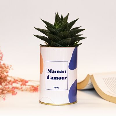 Plante - Maman d'amour