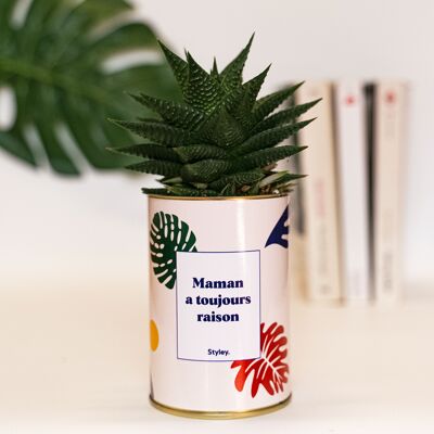 Plant - La mamma ha sempre ragione