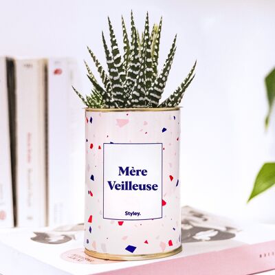 Plante - Mère Veilleuse - Fête des mères