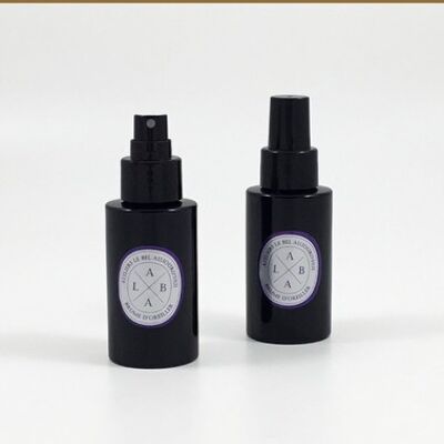 Spray d'ambiance rechargeable 100 ml - Parfum Promenons-nous...