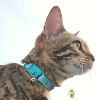 COLLIER POUR CHAT KITTYRAMA AQUA - Libération rapide, détachable, hypoallergénique 5