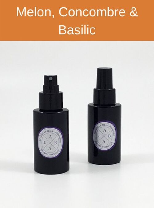 Spray d'ambiance rechargeable 100 ml - Parfum Melon, Concombre & Basilic