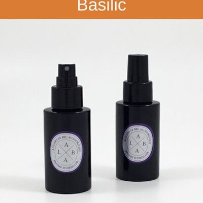 Spray d'ambiance rechargeable 100 ml - Parfum Melon, Concombre & Basilic