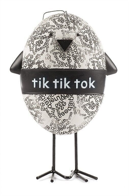 Pollo nero 20 cm PU 4