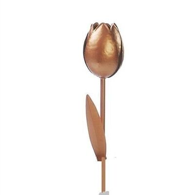 Adhesivo tulipán cobre 50 cm PU 6
