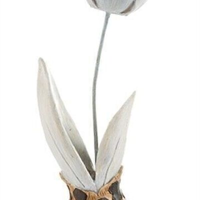 Imprimé léopard gris tulipe 14 cm PU 6