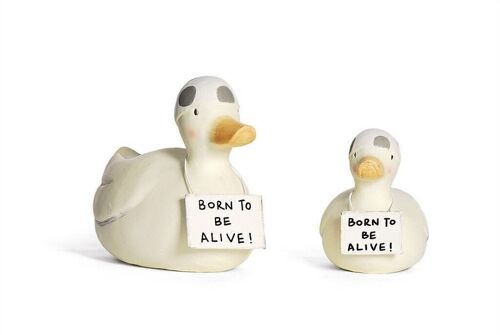 Ente mit Badekappe VE 4 15x11 cm "Born to be alive"