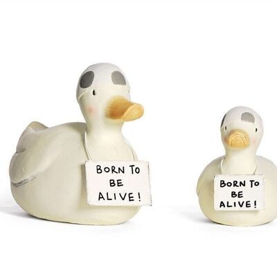 Ente mit Badekappe VE 4 15x11 cm "Born to be alive"