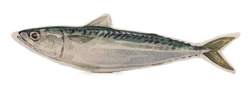 Deko Fisch 35x9 cm VE 6