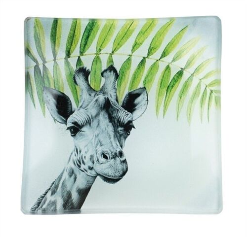 Teller Giraffe 10 x 10 cm VE 12