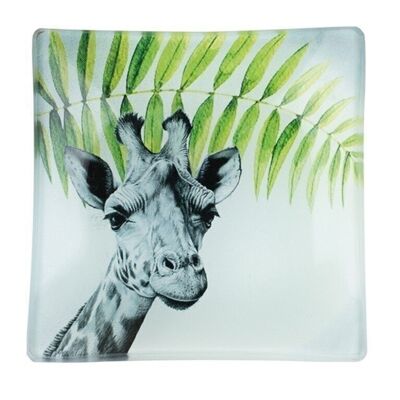 Teller Giraffe 10 x 10 cm VE 12