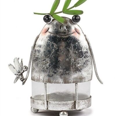 Tea light holder frog 14 cm PU 6