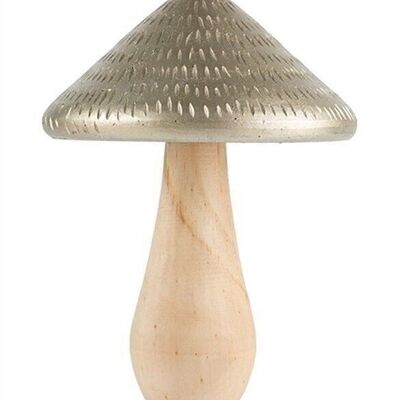 Mushroom gold natural 15 cm VE 8