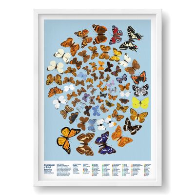 Ein Kaleidoskop des britischen Schmetterlings-Druckes